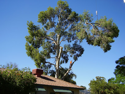 profile picture of WA TreeWorks profile picture