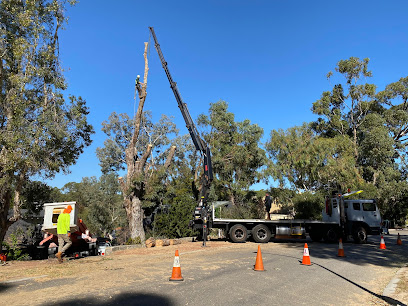 profile picture of Perth Arbor Services profile picture