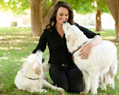 profile picture of Waggle Tails | Dog & Puppy Training Perth profile picture