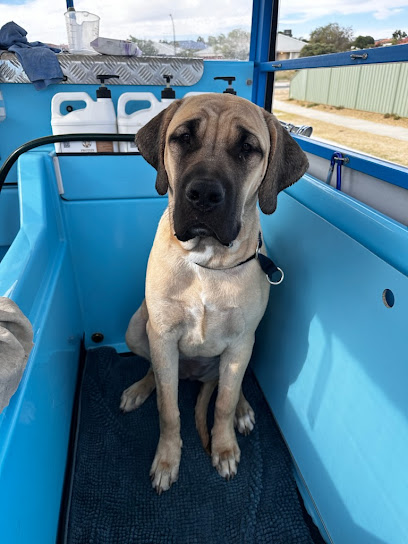 profile picture of Aussie Pooch Mobile Dog Wash profile picture