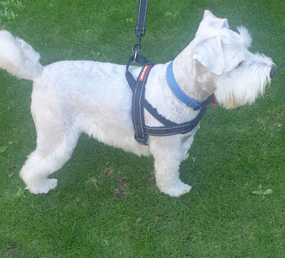 profile picture of The Good Groomer WA profile picture