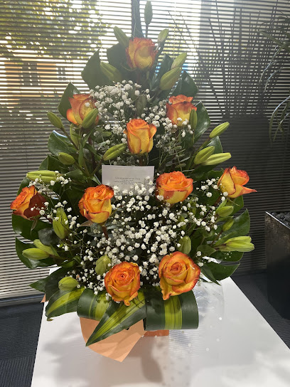 profile picture of First Choice Conveyancing profile picture