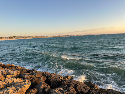 profile picture of AQWA The Aquarium Of Western Australia profile picture