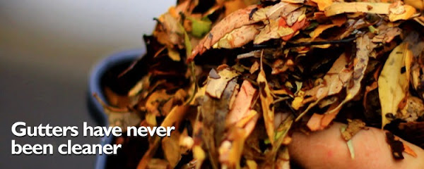 profile picture of Gutter-Vac Perth profile picture