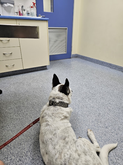 profile picture of Southern Animal Hospital profile picture