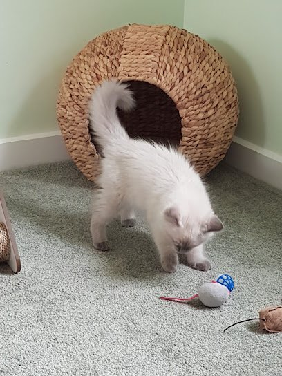 profile picture of Adelaide Home Vet profile picture