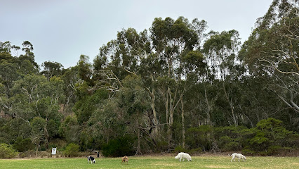 profile picture of Doglogik profile picture