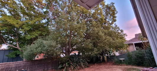 profile picture of Adelaide Tree Removals - Stump & Tree Removal Services profile picture