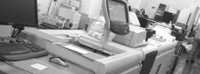 profile picture of Print Mint Digital profile picture