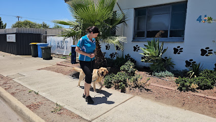 profile picture of Advance Behavioural Training profile picture