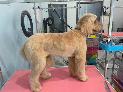 profile picture of Bella’s Grooming Haven profile picture