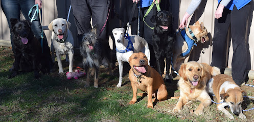 profile picture of Inner South Veterinary Centre profile picture