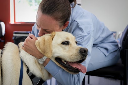 profile picture of ARH Canberra Veterinary Specialists profile picture