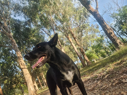 profile picture of Happy Paws Dog Walking, ACT profile picture