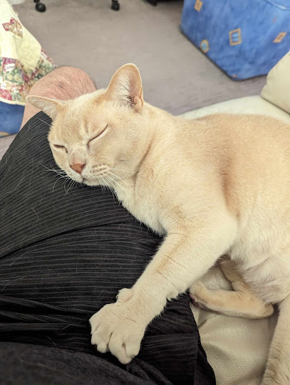 profile picture of ACT Home Pet Care profile picture