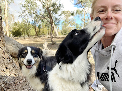 profile picture of Heritage Hounds profile picture