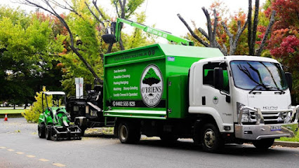 profile picture of O'Briens Tree Services Canberra profile picture