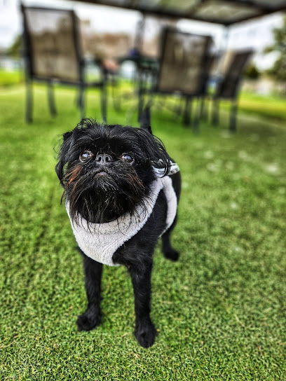 profile picture of SitDropstay Canberra profile picture