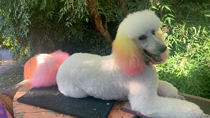 profile picture of BarkRoyal Dog Day Spa & Day Care profile picture