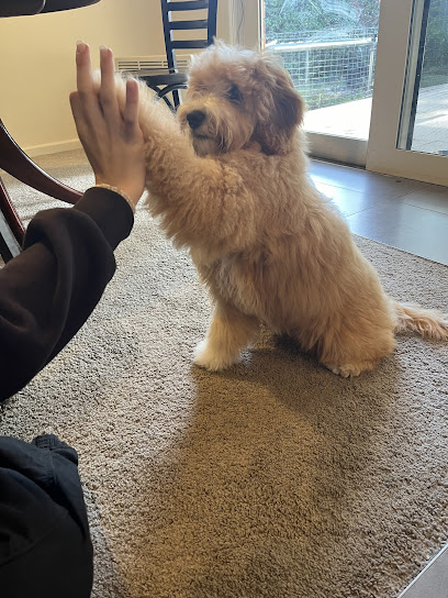 profile picture of WOOOF Dog Grooming profile picture