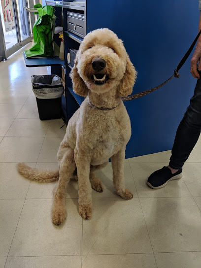 profile picture of PetO Fyshwick (formerly Best Friends Pets) profile picture