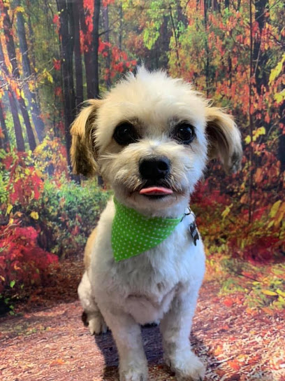 profile picture of Central Bark Pet Styling profile picture