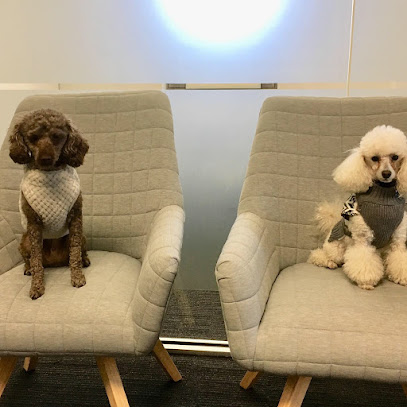 profile picture of Bedfords Legal profile picture