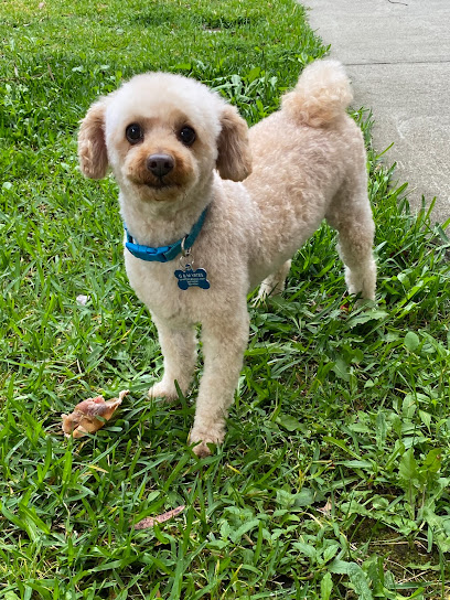 profile picture of Petbarn Gungahlin profile picture