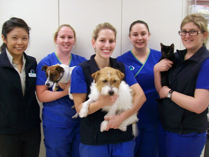 profile picture of Our Vet Geelong profile picture