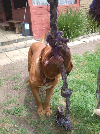 profile picture of Geelong Veterinary Hospital profile picture