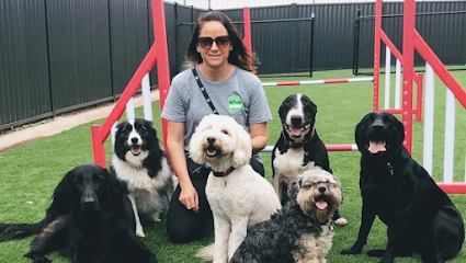 profile picture of Urban Paws Doggy Daycare Geelong profile picture