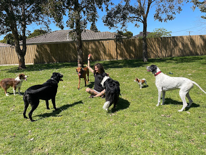 profile picture of Jog The Dog profile picture