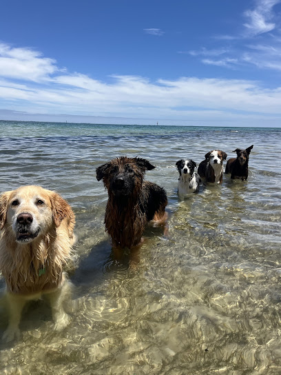 profile picture of Got Ya Dog profile picture