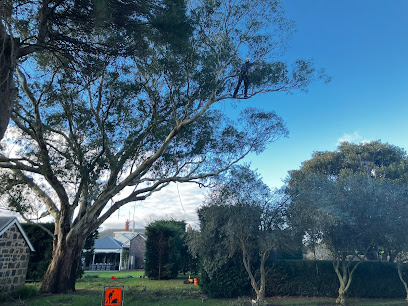 profile picture of Climb Right Tree Services profile picture