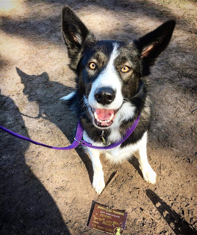 profile picture of Jimmy's Dog Training profile picture
