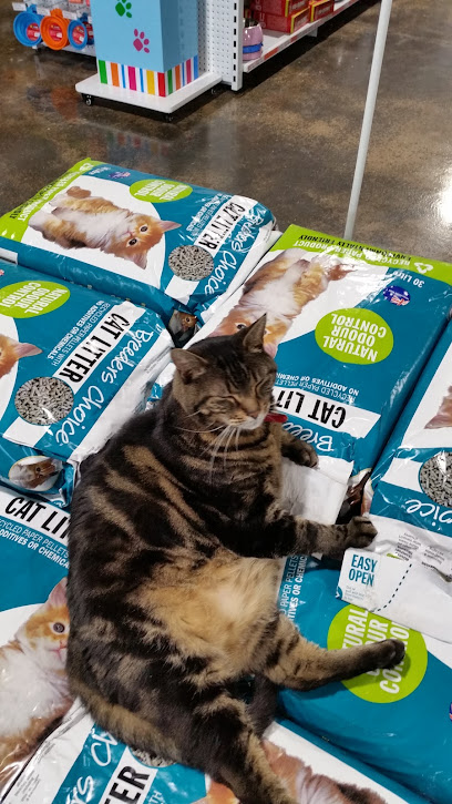 profile picture of Petstock Corio profile picture