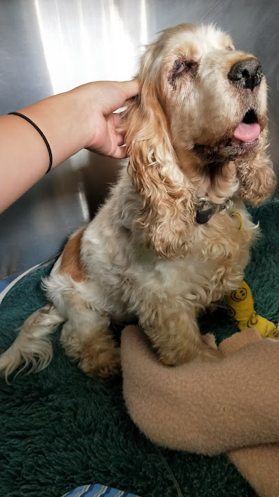 profile picture of Greencross Vets Ballarat profile picture