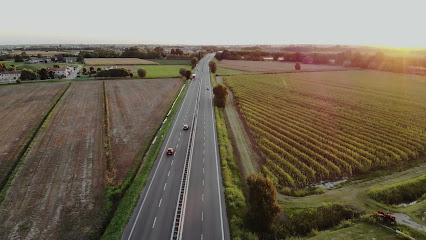 profile picture of McGrath Estate Agents Ballarat profile picture