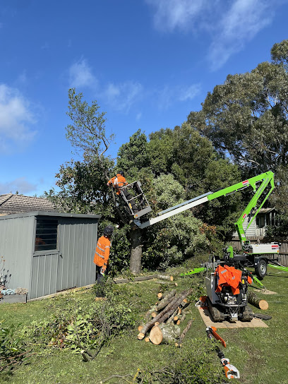 profile picture of Alpine Tree Management profile picture