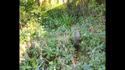 profile picture of RID Pest Control profile picture