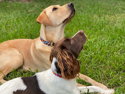 profile picture of Unpacked Dog Education and Training profile picture