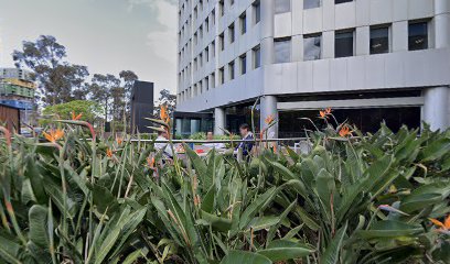 profile picture of TSS Immigration profile picture