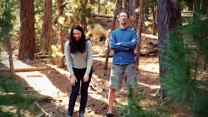 profile picture of The Ginkgo Tree Creative Studio profile picture