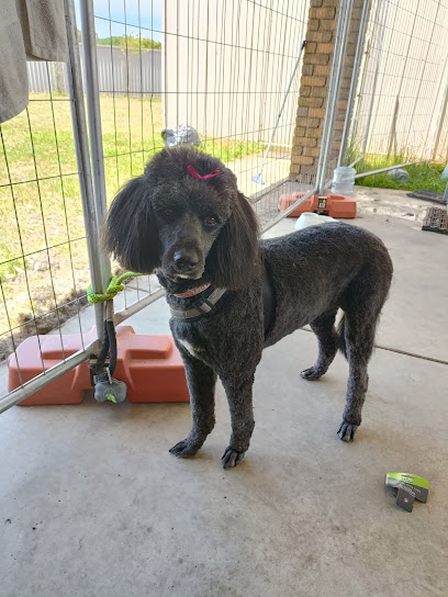 profile picture of Juzzy's Happy Tails Ballarat profile picture