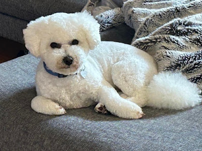 profile picture of Polar Bear Pet Grooming profile picture