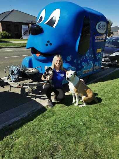 profile picture of Blue Wheelers Ballarat East profile picture