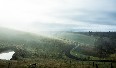 profile picture of Tara C Moore Photography profile picture