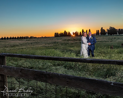 profile picture of Obscura Cameras (formerly - David Bailey Photography & Training ) profile picture