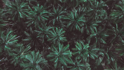 profile picture of Falcon Aerial Photography & Video profile picture