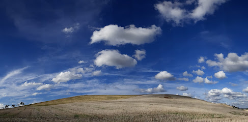 profile picture of Ginkgo Productions profile picture